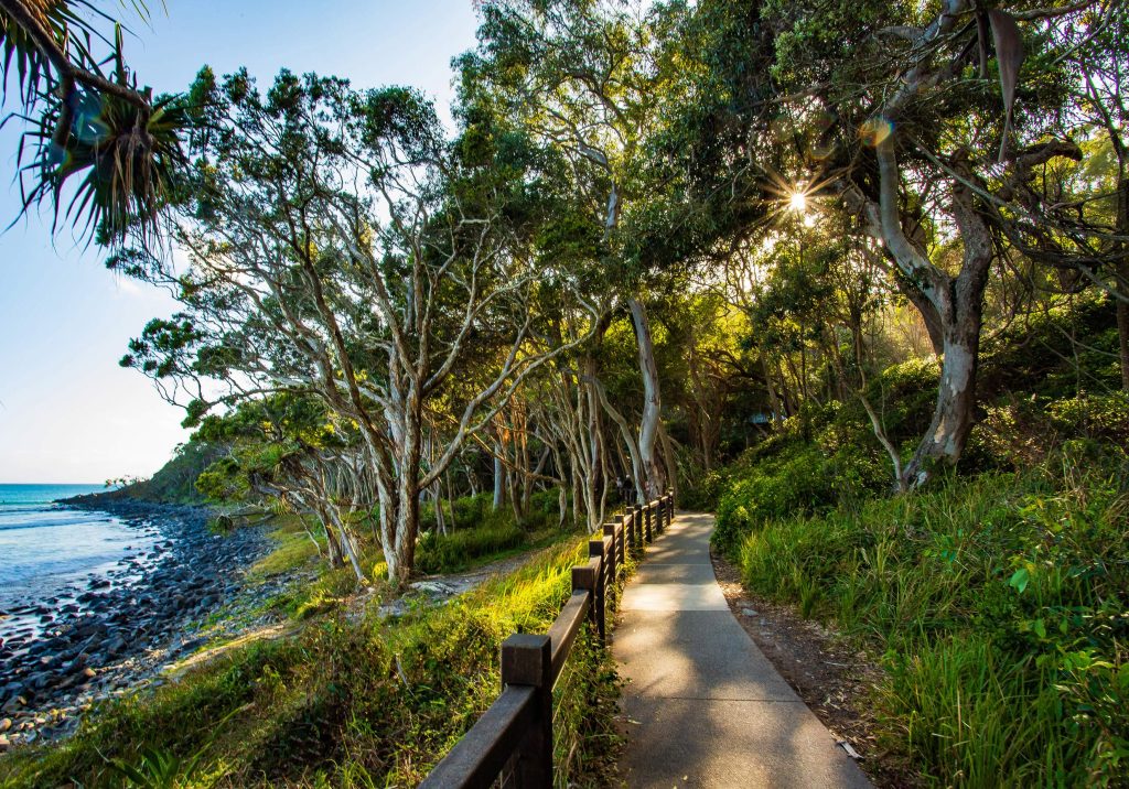 Beyond Transfer Noosa Coastal Walk