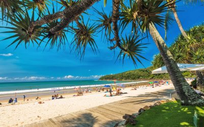 Is it better to use a Transfer Service to get to Noosa?